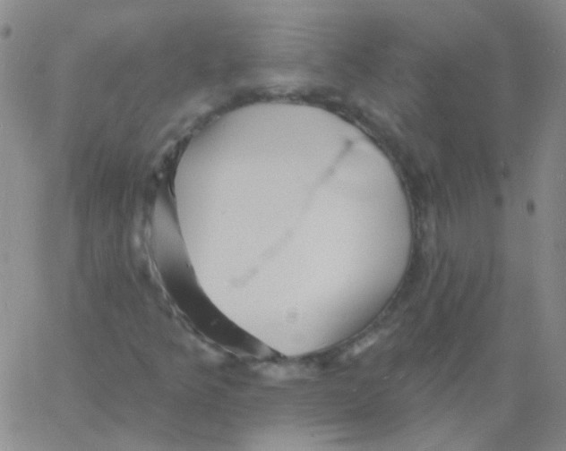 X0000060741349200512081907