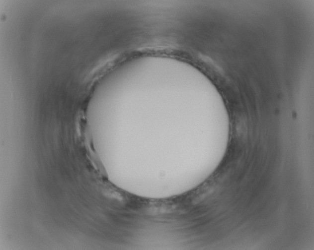 X0000060741350200512081907