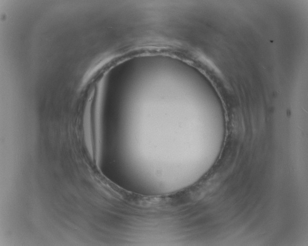 X0000060741352200512081907