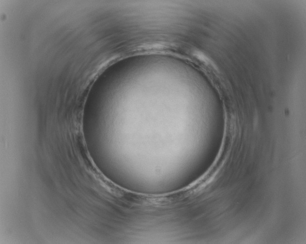 X0000060741353200512081907