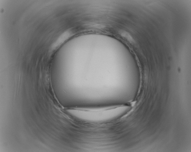 X0000060741354200512081907