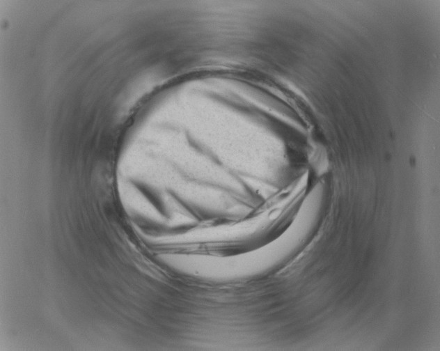 X0000060741355200512081907