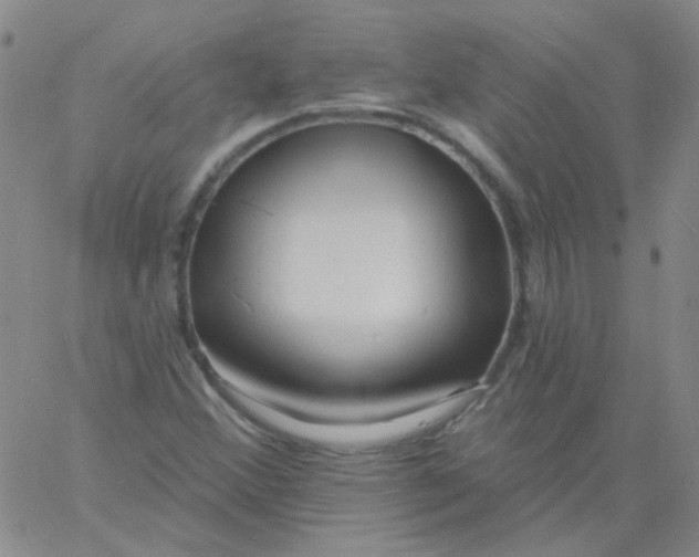 X0000060741356200512081907