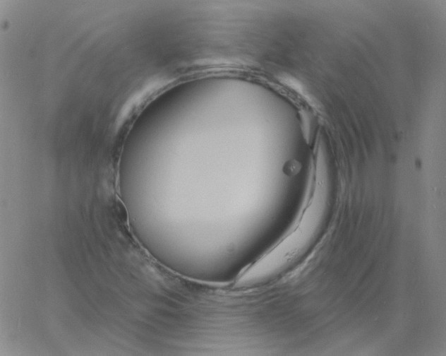 X0000060741357200512081907