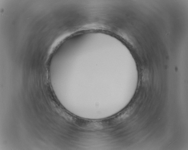 X0000060741358200512081907