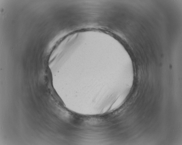 X0000060741359200512081907