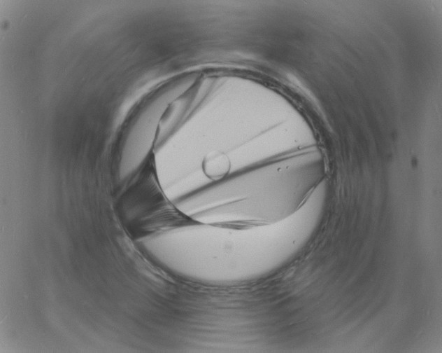 X0000060741360200512081907