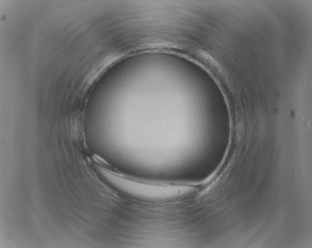 X0000060741361200512081907