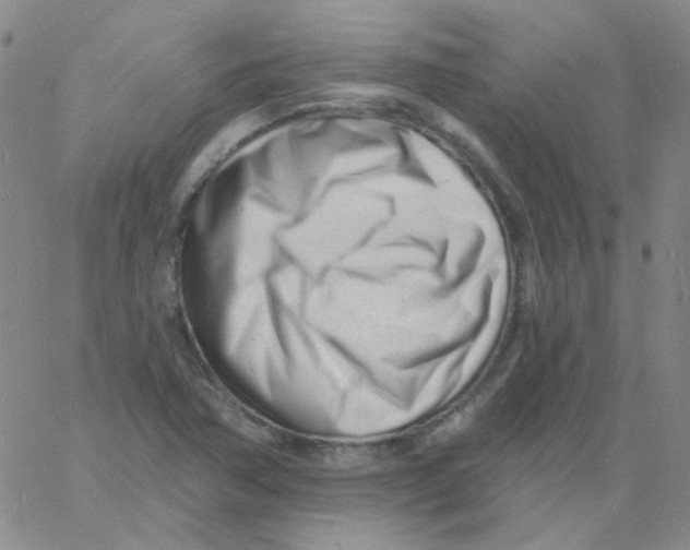 X0000060741362200512081907