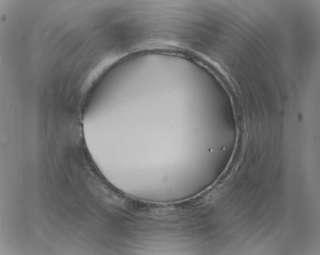 X0000060741363200512081907