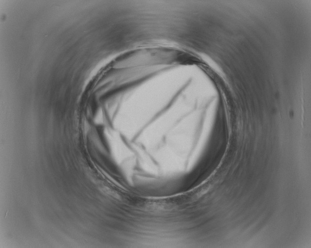 X0000060741364200512081907