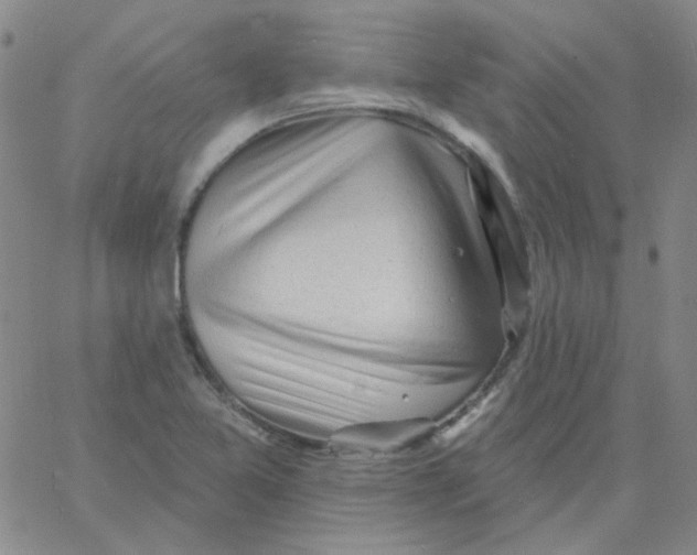 X0000060741365200512081907