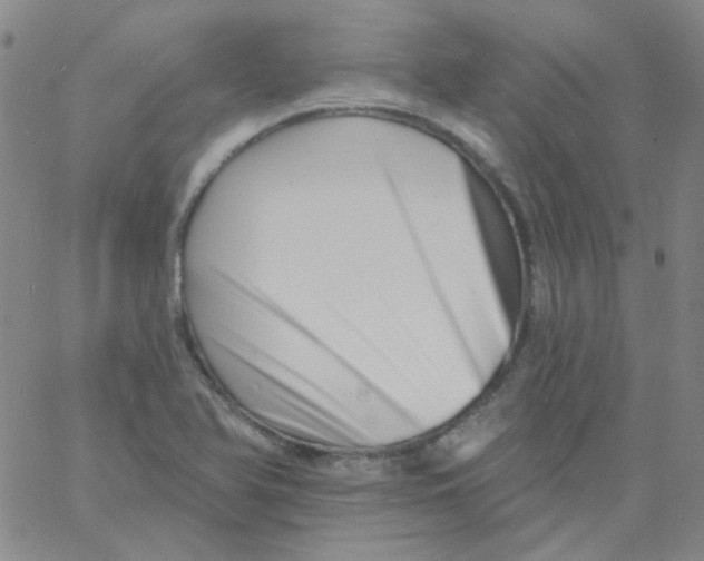 X0000060741366200512081907