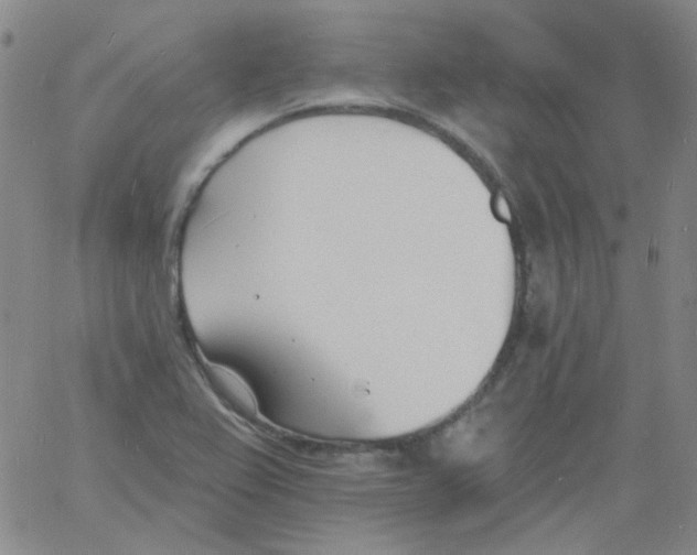 X0000060741367200512081907