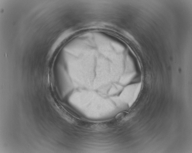 X0000060741368200512081907