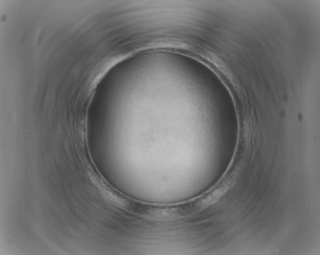 X0000060741369200512081907