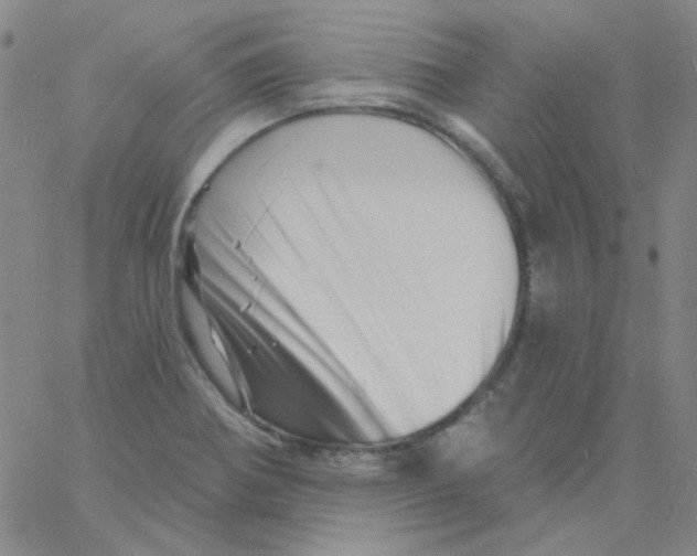 X0000060741370200512081907