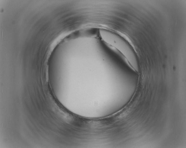 X0000060741371200512081907