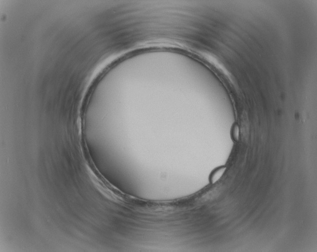 X0000060741372200512081907