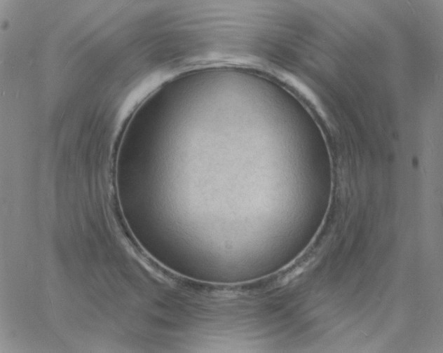 X0000060741373200512081907