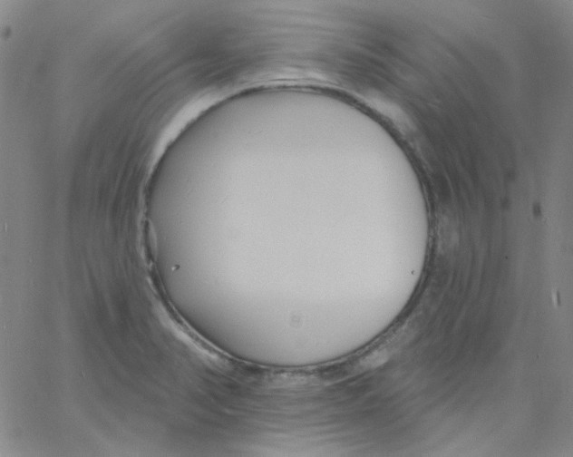 X0000060741374200512081907