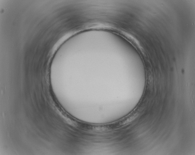 X0000060741375200512081907