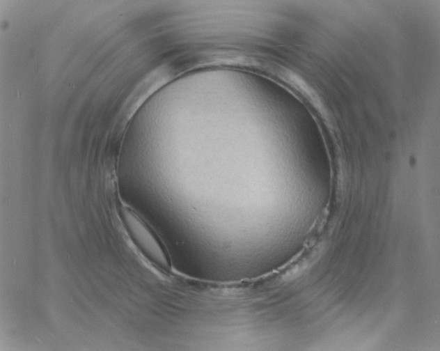 X0000060741377200512081907