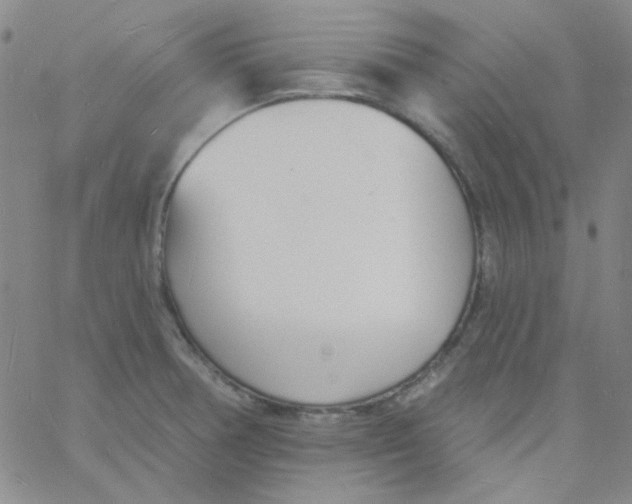 X0000060741378200512081907