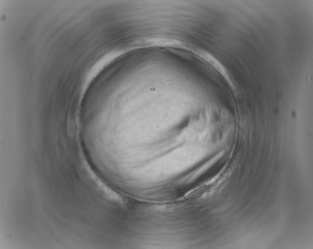 X0000060741381200512081907