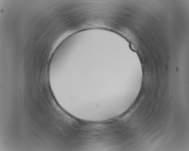 X0000060741382200512081907