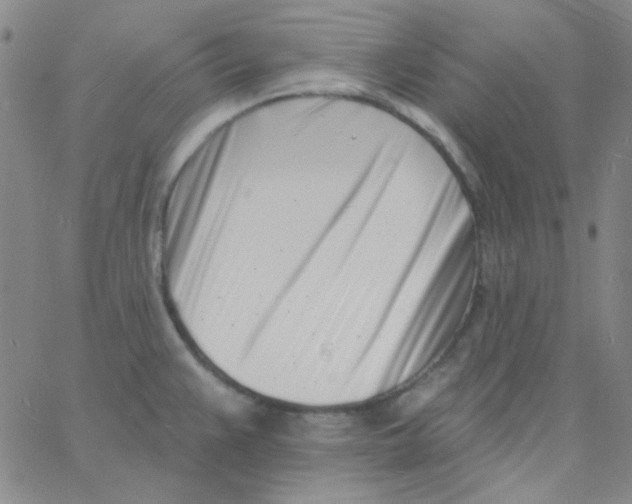 X0000060741383200512081907