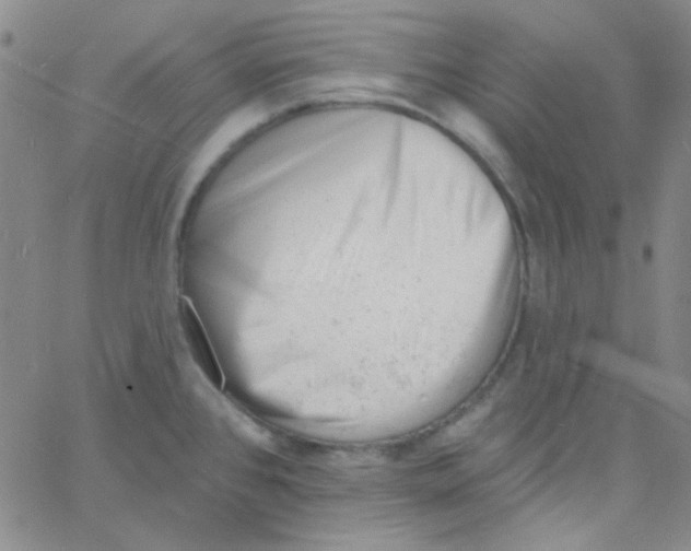 X0000060741384200512081907