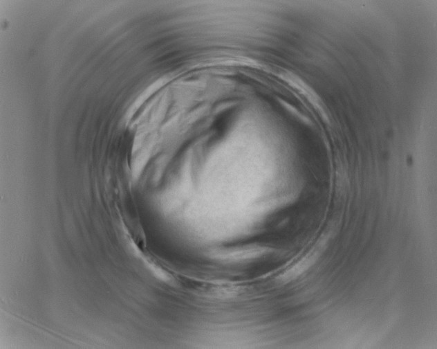 X0000060741385200512081907