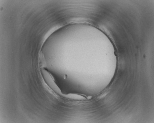 X0000060741386200512081907