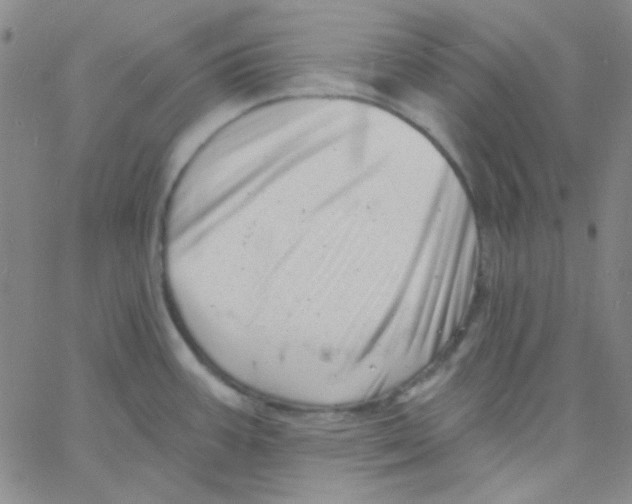 X0000060741387200512081907