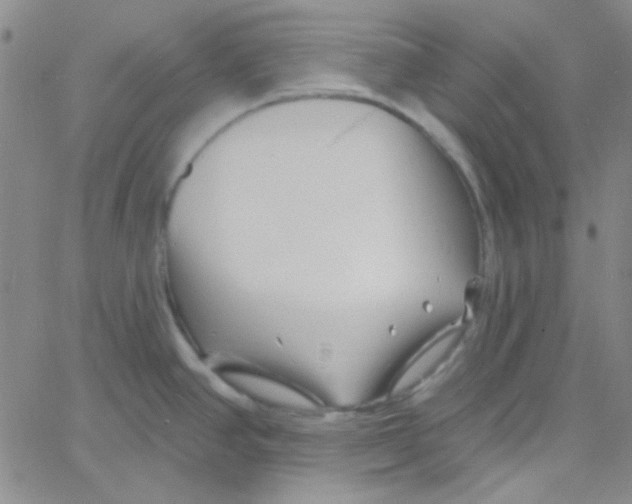 X0000060741390200512081906