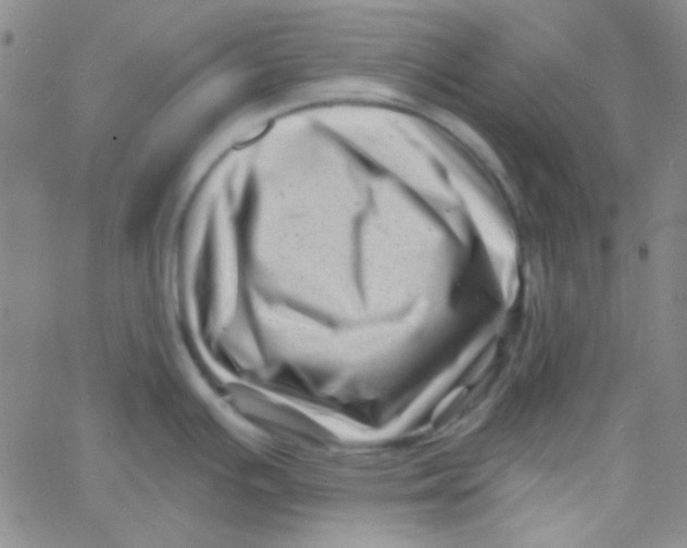 X0000060741391200512081906