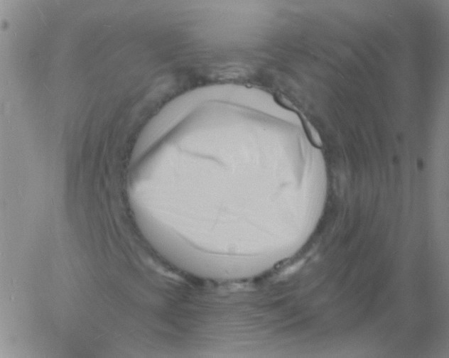 X0000060741393200512081906