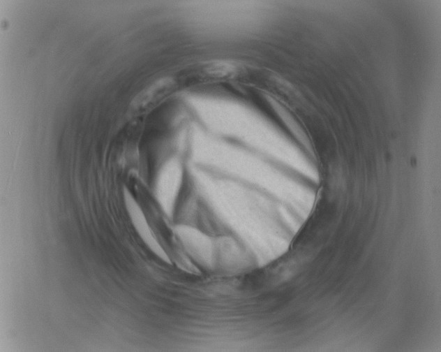 X0000060741394200512081906