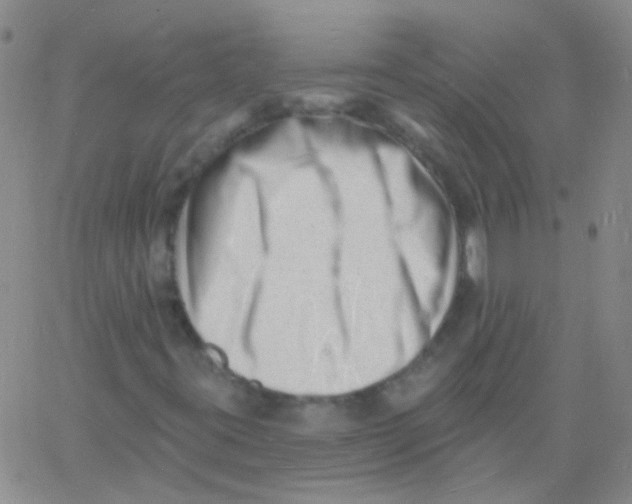 X0000060741395200512081906