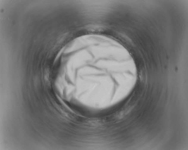 X0000060741396200512081906