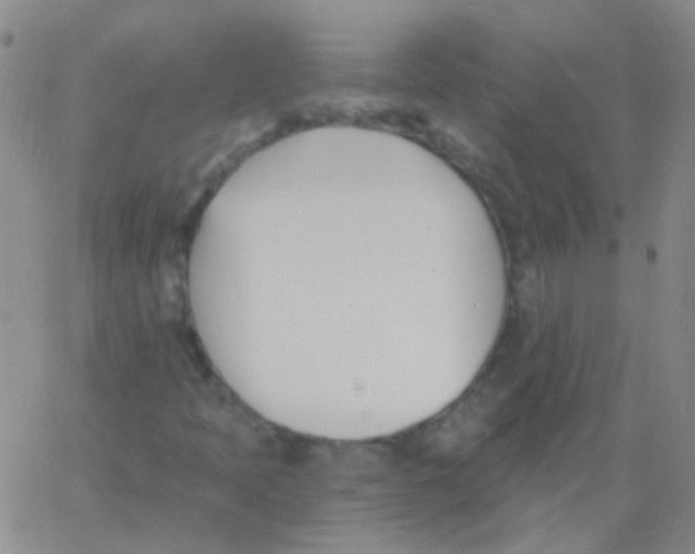 X0000060741397200512081906