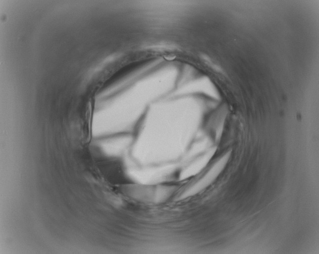 X0000060741398200512081906