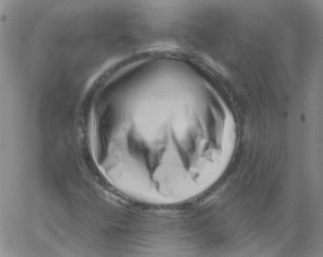 X0000060741400200512081906