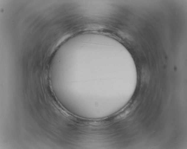 X0000060741401200512081906