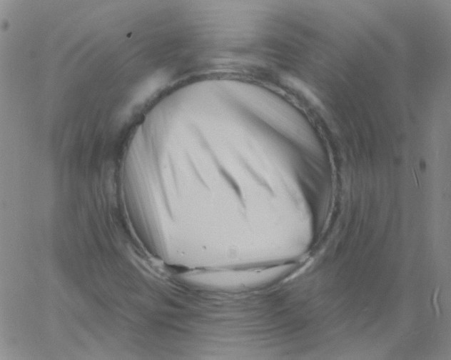 X0000060741403200512081906