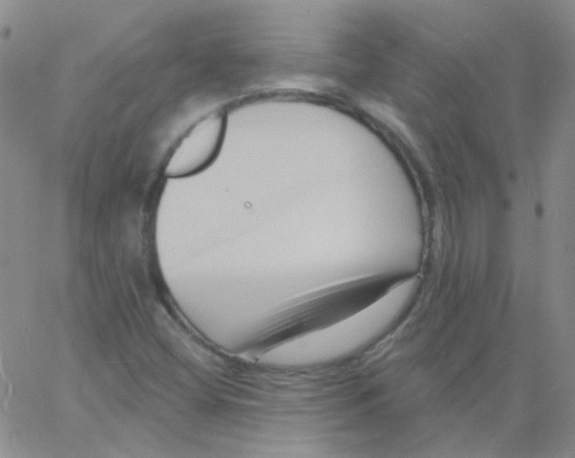 X0000060741404200512081906