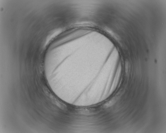 X0000060741405200512081906