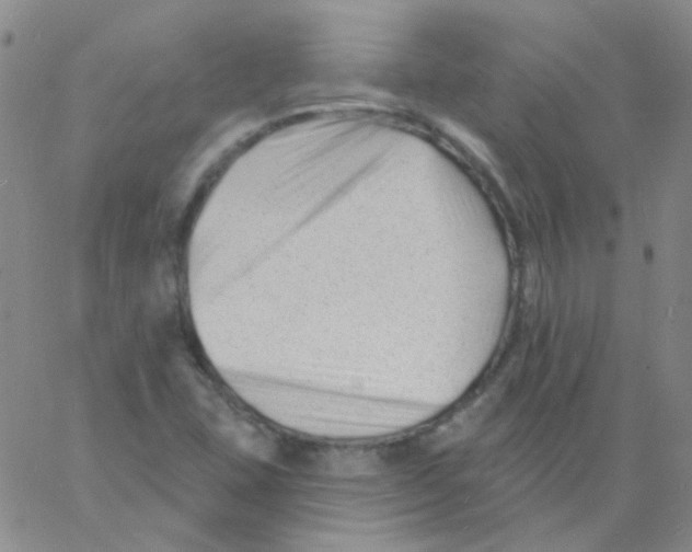 X0000060741407200512081906