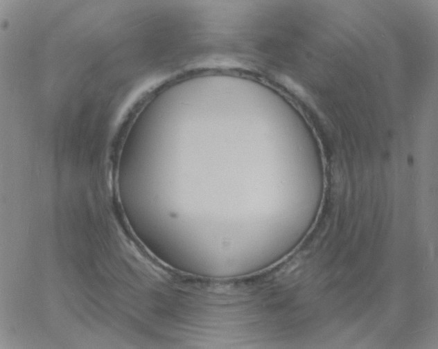 X0000060741408200512081906